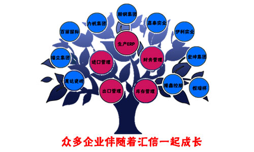 汇信这些年走过的路程