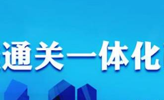 全国通关一体化工作推进现场会在广州召开,中共中央政治局常委、国务院副总理汪洋出席会议并讲话