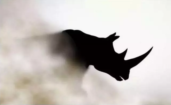 2020年全球经济究竟何去何从呢？ 2020年全球经济的四只灰犀牛