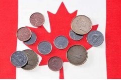 加拿大新修订消费税规则，中国卖家及当地华人都了解吗？