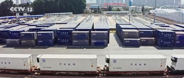 东盟农产品进口新引擎：Winseeing汇信ERP如何破解全流程管理痛点？