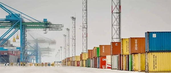 棉花涨价情况不会长久 集装箱缺箱预计延续到2021年